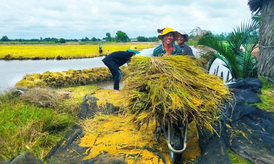 Đồng hành, thúc đẩy phát triển nông nghiệp hữu cơ