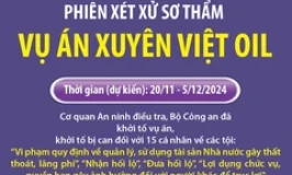 Xét xử sơ thẩm vụ án xảy ra tại Công ty Xuyên Việt Oil