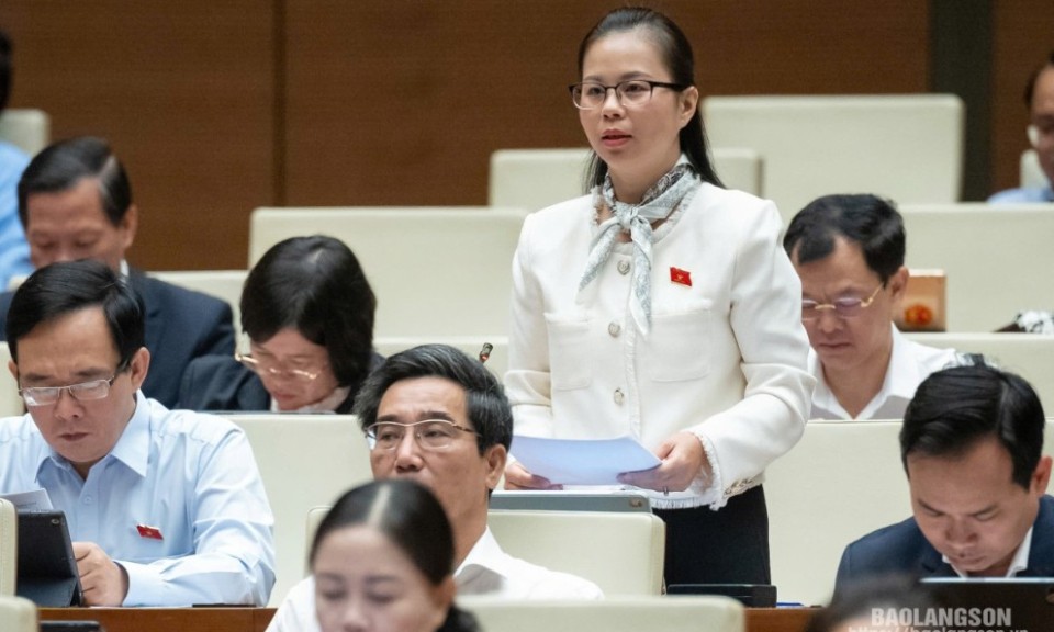 省国会代表就《就业法》（修正案）发表意见