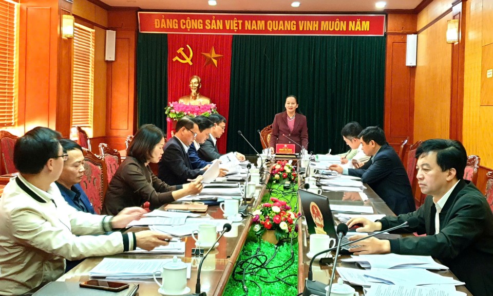 tỉnh thẩm tra các nội dung liên quan đến giải quyết kiến nghị cử tri, khiếu nại, tố cáo và chính sách hỗ