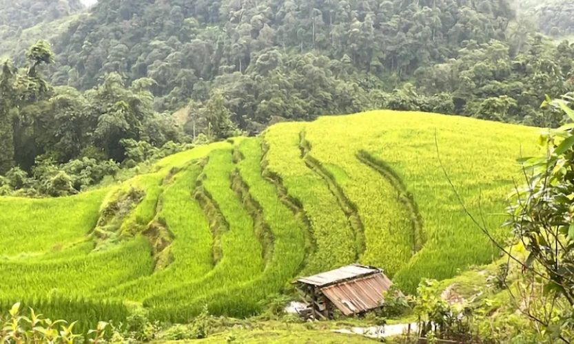 Tạo dựng thương hiệu du lịch vùng Đông Bắc