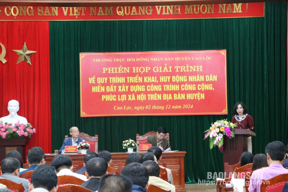 Đại biểu tham gia giải trình một số vấn đề tại phiên họp 