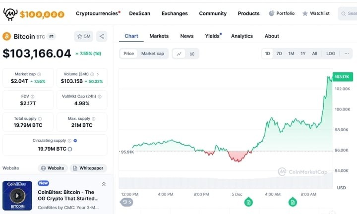 Có thời điểm, giá Bitcoin đạt 103.166,04 USD. (Ảnh chụp màn hình)