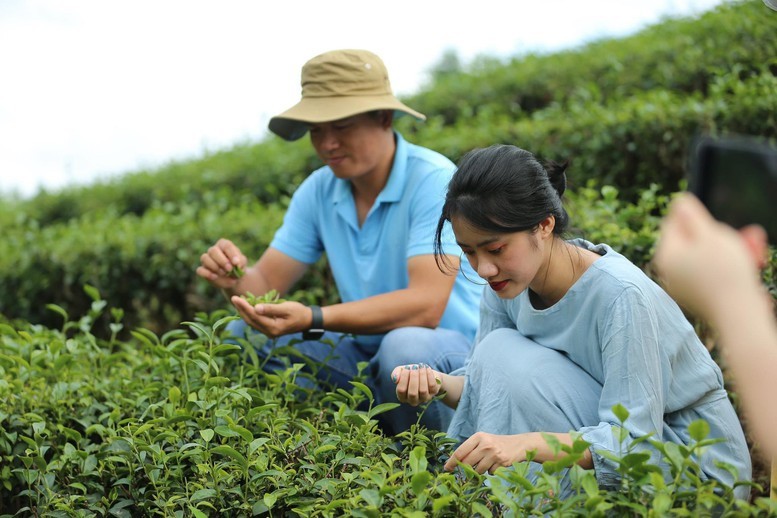 Hội nghị quốc tế về Du lịch Nông thôn lần thứ nhất sẽ chia sẻ kinh nghiệm tốt và thúc đẩy hợp tác du lịch nông thôn. Ảnh: VGP/Nam Nguyễn