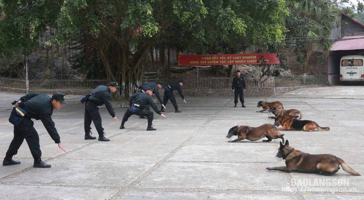 Đội quản lý, sử dụng động vật nghiệp vụ, Phòng Cảnh sát Cơ động Công an tỉnh huấn luyện chó nghiệp vụ thực hiện các động tác cơ bản