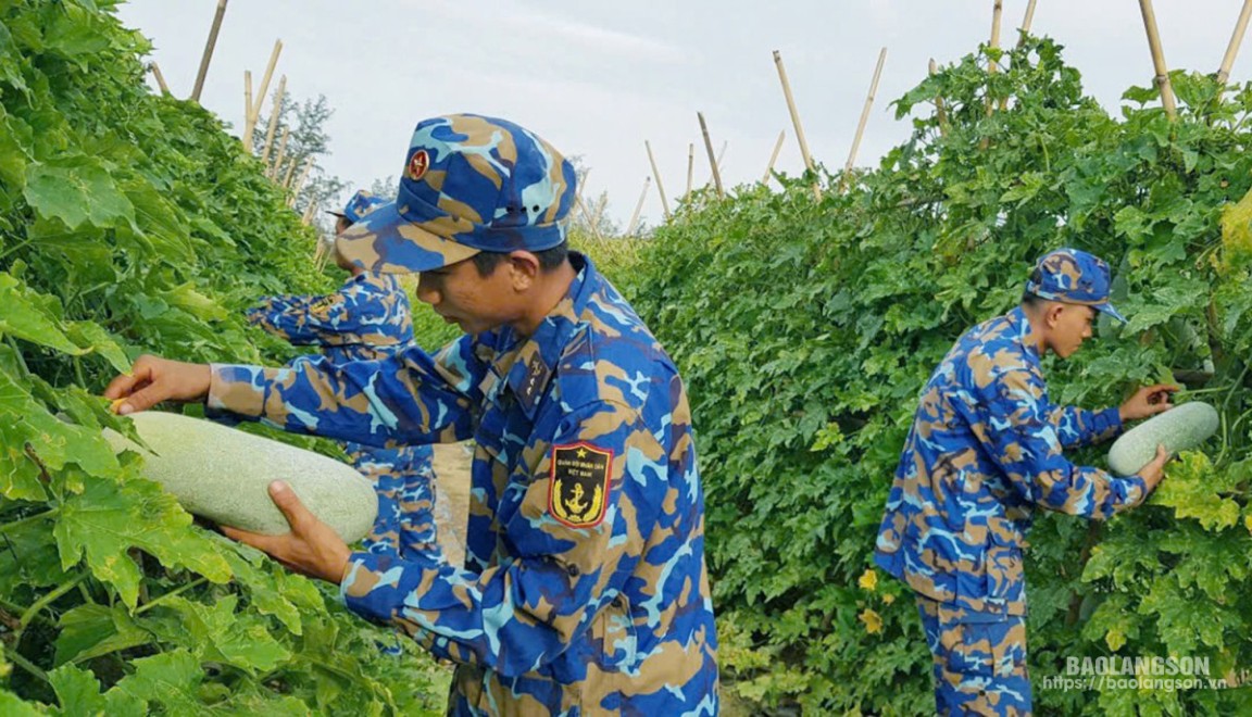  Áp dụng kỹ thuật cao trong trồng trọt đã mang lại hiệu quả cao và giảm nhân công chăm sóc 