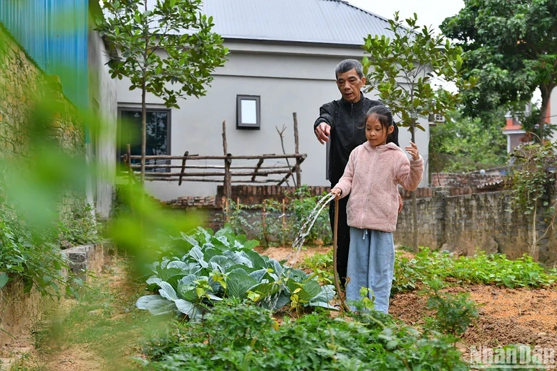 Tống Nhã Linh giúp ông nội chăm sóc mảnh vườn nhỏ xinh bên cạnh nhà.