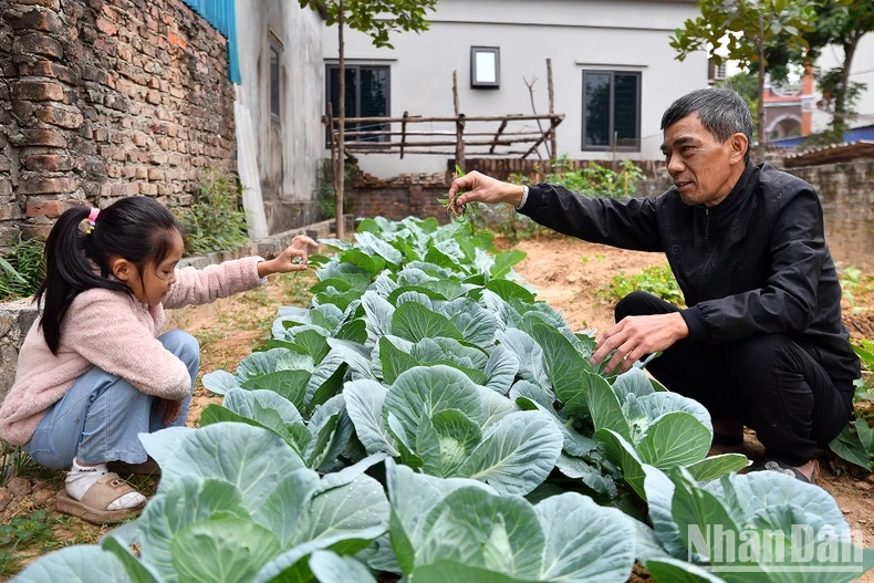 Thời gian rảnh rỗi, Nhã Linh và ông nội lại cùng nhau chăm sóc mảnh vườn nhỏ cạnh nhà. Đây cũng chính là một trong những nguồn cảm hứng để cô bé vẽ nên những bức tranh tươi sáng cất kỹ trong góc học tập xinh xắn của mình.