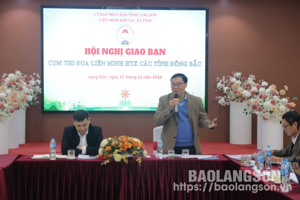 Chủ tịch Liên minh HTX tỉnh phát biểu tại hội nghị