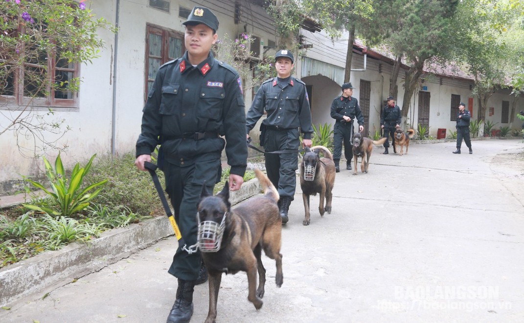 Công việc đầu tiên trong ngày là các cán bộ huấn luyện kiểm tra chó nghiệp vụ, thả ra cho chúng đi vệ sinh tại nơi quy định; dọn dẹp chuồng trại, sân bãi; sau đó đưa chó nghiệp vụ ra thao trường huấn luyện