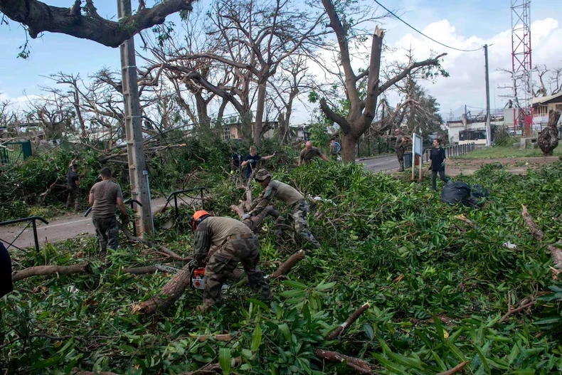 Quân đội giúp thu dọn cây đổ sau bão Chido, ở Mayotte, Pháp. Ảnh: Reuters