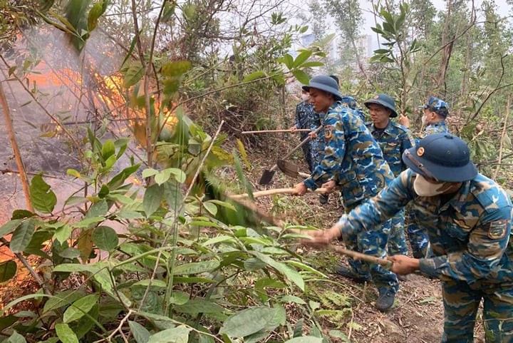 Cán bộ, chiến sĩ Trung đoàn 213 khẩn trương dập lửa. (Ảnh: Cổng thông tin điện tử Quảng Ninh)