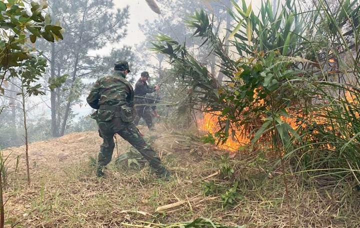 Công tác chữa cháy gặp nhiều khó khăn do thời tiết hanh khô kèm gió. (Ảnh: Cổng thông tin điện tử Quảng Ninh)