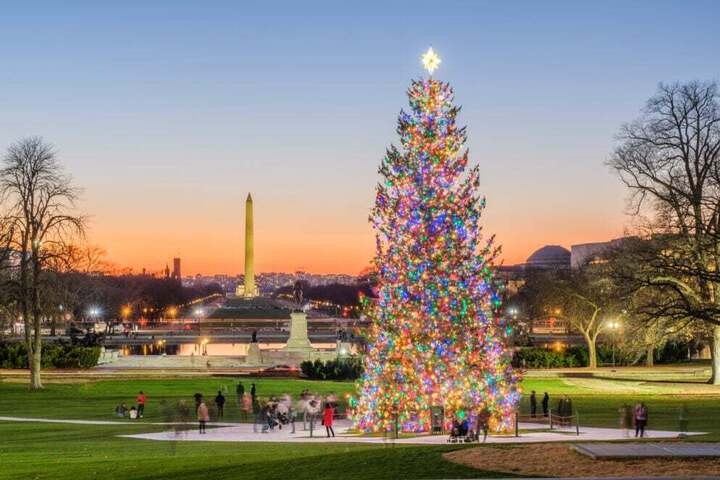 Cây thông Noel ngập tràn sắc màu được dựng bên ngoài điện Capitol của Mỹ. (Ảnh: Getty)