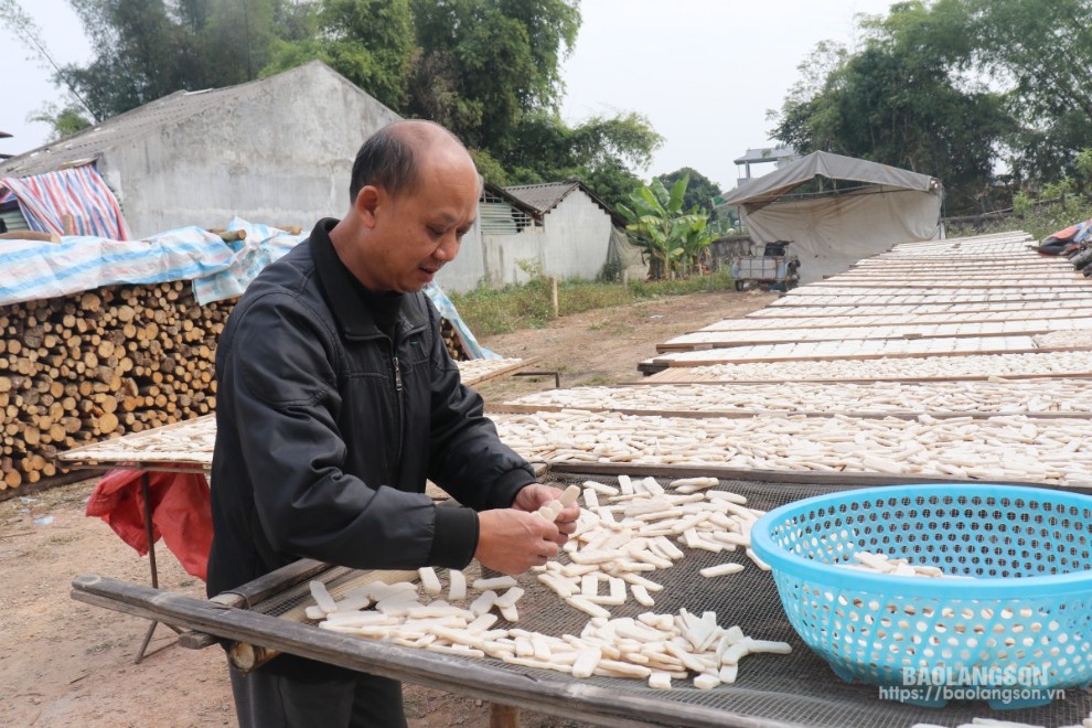 Ông Đàm Văn Học, khu 4, thị trấn Thất Khê tất bật phơi bánh phồng chuẩn bị cho thị trường tết