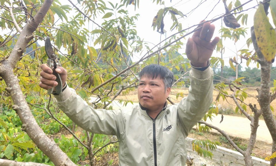 Thượng Cường: Đa dạng mô hình sản xuất, giảm nghèo bền vững