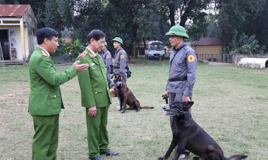 “Binh chủng đặc biệt” - 65 năm xây dựng, chiến đấu và trưởng thành