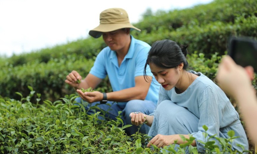 Lần đầu tiên tổ chức Hội nghị quốc tế toàn cầu về Du lịch Nông thôn tại Việt Nam