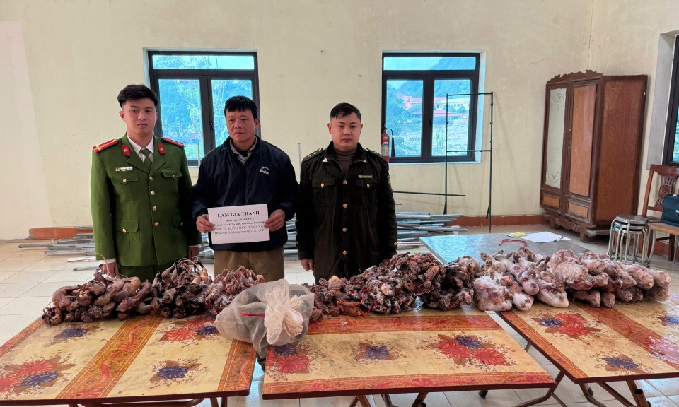 Văn Lãng: Bắt giữ đối tượng thu mua, tàng trữ trái phép động vật hoang dã
