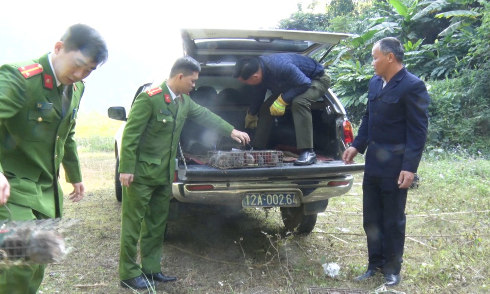 Hạt Kiểm lâm Tràng Định: Thả 74  cá thể dúi về rừng tự nhiên