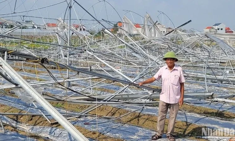 Những bài học kinh nghiệm phục hồi sau bão Yagi