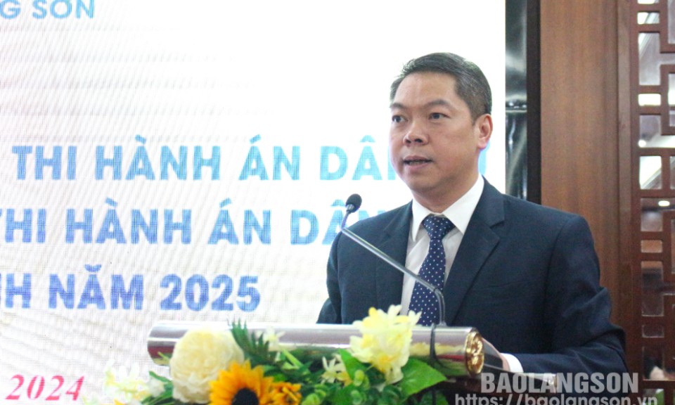 Tổng kết hoạt động Ban Chỉ đạo Thi hành án dân sự tỉnh năm 2024