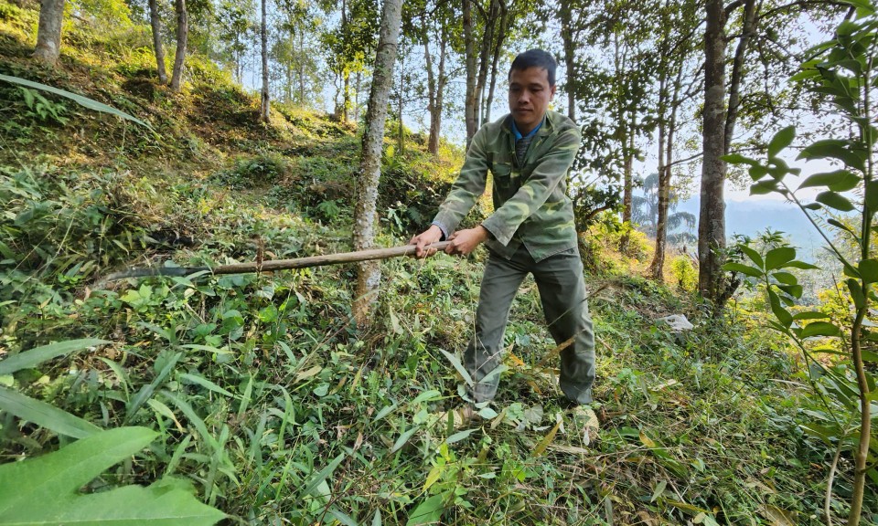 Quang Trung: Phát triển sản xuất, giảm nghèo bền vững 