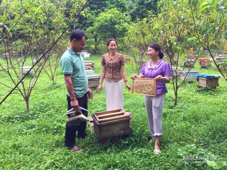 Cán bộ Chi cục Chăn nuôi và Thú y cùng thành viên Hợp tác xã Dịch vụ nông, lâm nghiệp Tân Thành, xã Tân Thành, huyện Bắc Sơn kiểm tra cầu ong mật