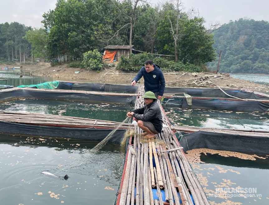 Cán bộ UBND xã Hùng Việt, huyện Tràng Định cùng người dân thôn Cốc Bao kiểm tra chất lượng cá lăng đen