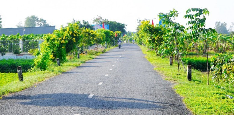 Báo cáo phản ánh thực trạng chất lượng môi trường ở nông thôn, nhận diện các nguy cơ gây ô nhiễm môi trường, các vấn đề môi trường bức xúc, nổi cộm ở khu vực nông thôn