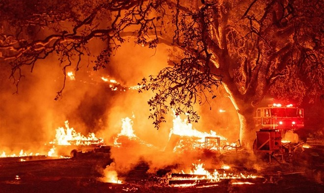 Đám cháy rừng mang tên Glass tàn phá khu vực Calistoga, California. (Ảnh: Getty)