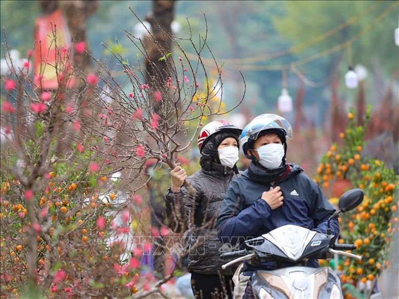 Thời tiết hôm nay (18-1), miền Bắc sáng sớm có sương mù và sương mù nhẹ rải rác, ngày nắng; gió nhẹ; trời rét, có nơi rét đậm, rét hại. Ảnh minh họa: TTXVN