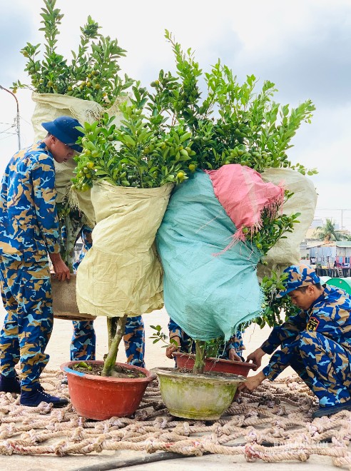 Những món quà, những cành mai, cây quất… được cẩn thận gói ghém, nâng niu trước khi chuyển tới biển, đảo xa.