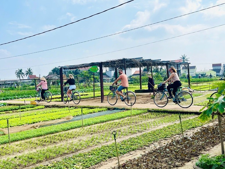 Du khách ghé thăm làng rau - Ảnh: VGP/Lưu Hương