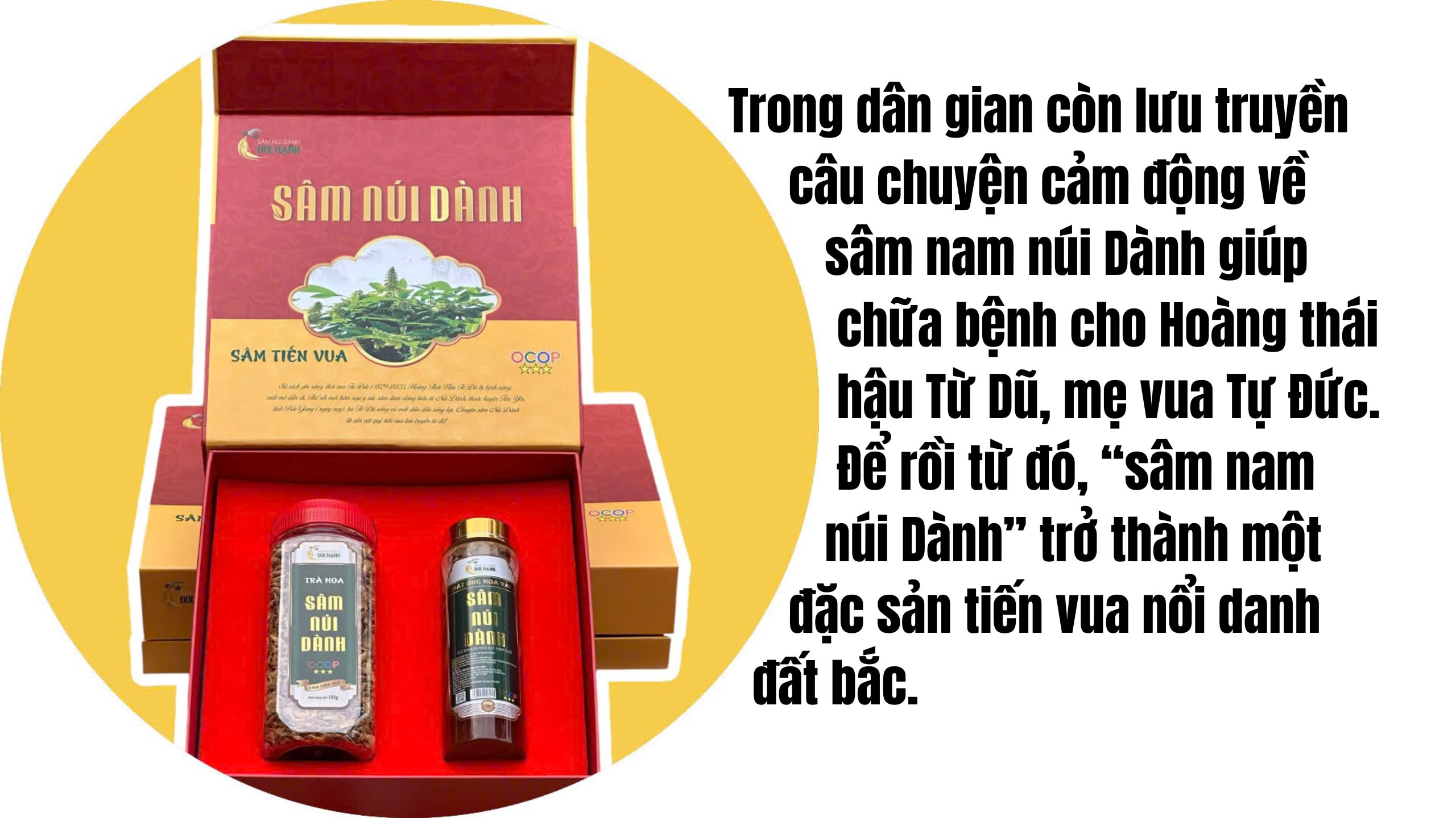 Ảnh co giãn vừa văn bản