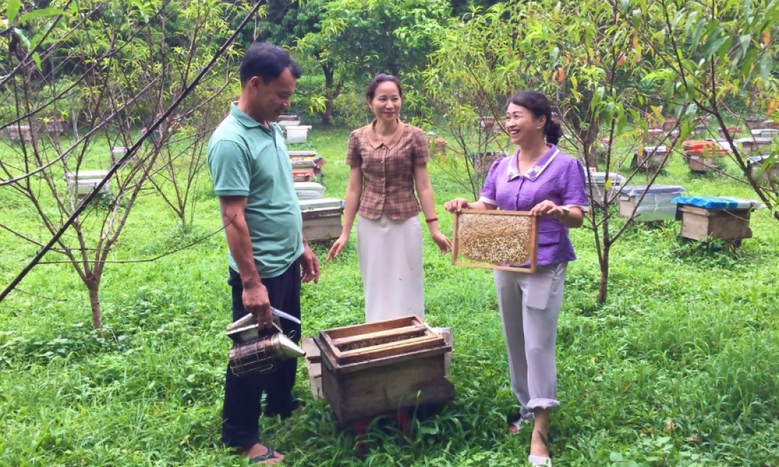 Chăn nuôi theo tiêu chuẩn VietGAP: Hướng phát triển bền vững