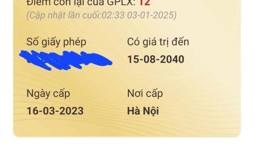 Cách kiểm tra điểm số giấy phép lái xe trên VNeID