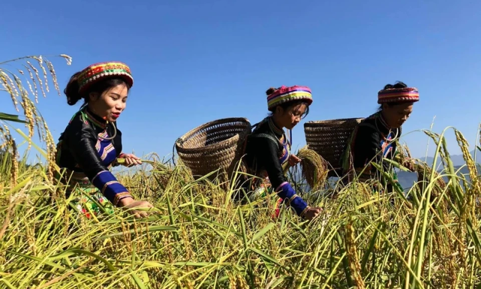 Hỗ trợ để sản phẩm OCOP vươn xa