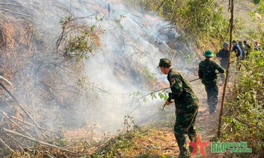 Dập tắt 2 đám cháy rừng tại huyện Tiên Yên và TP Uông Bí (tỉnh Quảng Ninh)