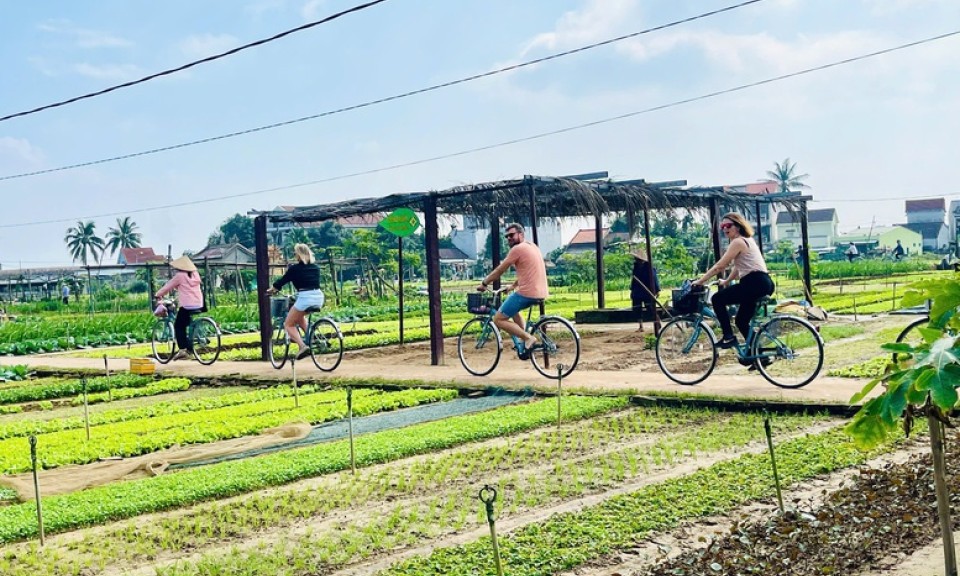 Làng nông nghiệp 'hút' khách quốc tế