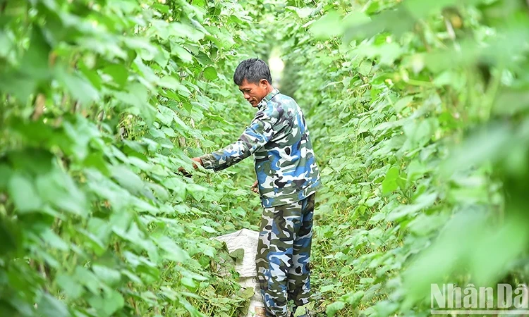 Rà soát hộ nghèo, hộ cận nghèo năm 2025 thực chất, khách quan và công bằng