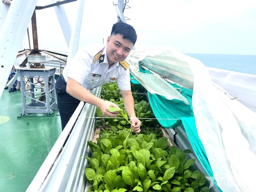  Niềm vui thu hoạch rau.