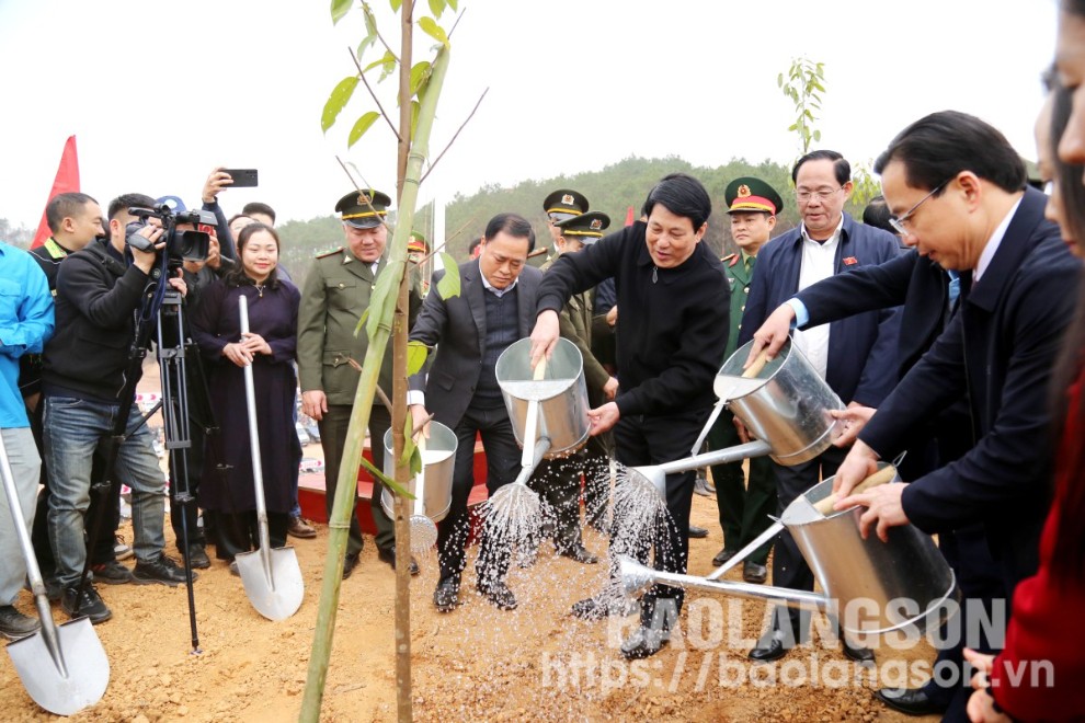 Chủ tịch nước Lương Cường cùng các đại biểu trồng cây tại Tiểu đoàn 1, Trung đoàn 123