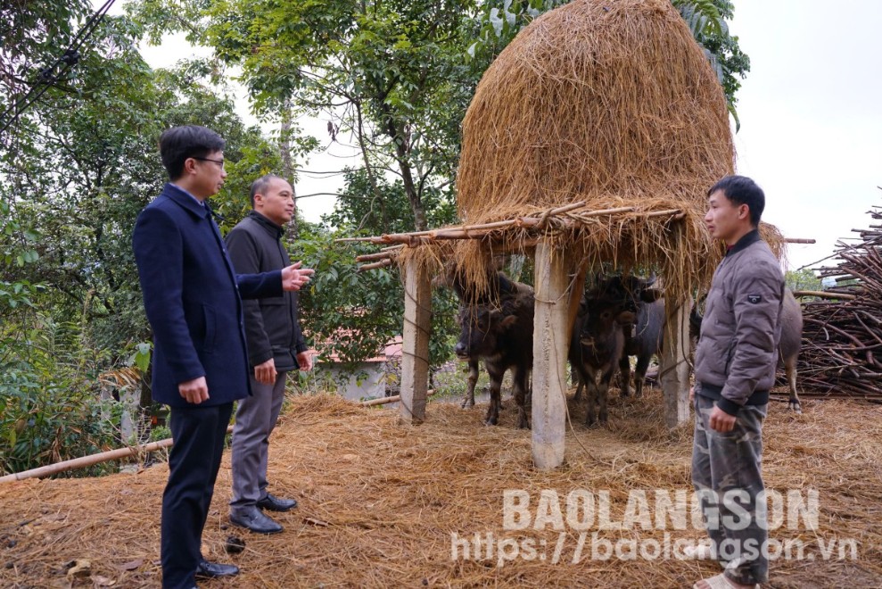 Lãnh đạo Phòng Nông nghiệp và Phát triển nông thôn, lãnh đạo UBND xã Mẫu Sơn, huyện Lộc Bình tuyên truyền người  dân trên địa bàn xã Mẫu Sơn các biện pháp phòng, chống rét cho đàn vật nuôi