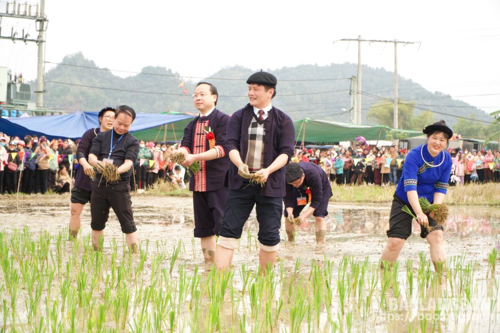 Các đại biểu tham gia lễ cấy xuống đồng 