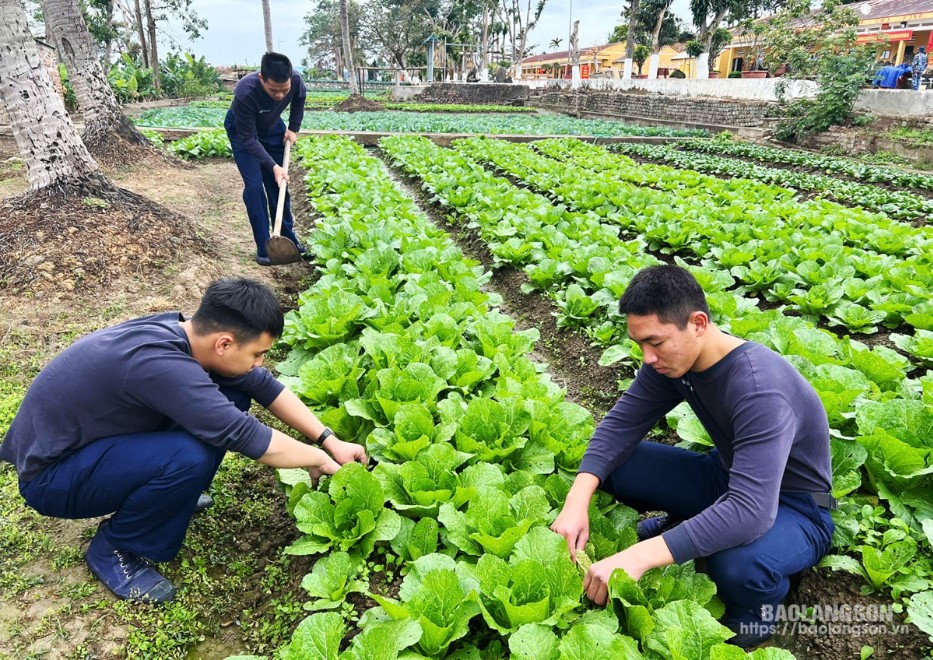  Cán bộ, chiến sĩ Tiểu đoàn 472, Lữ đoàn 147 tích cực tăng gia sản xuất phục vụ bữa ăn của bộ đội 