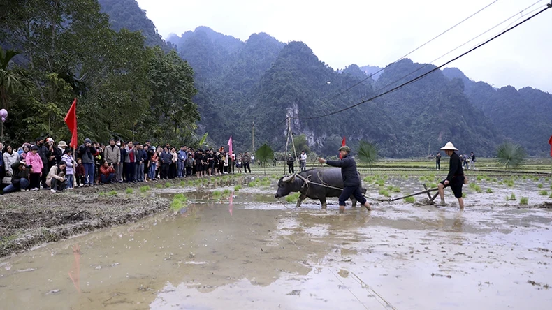 Nghi thức cày tịch điền với mong muốn một năm mới mưa thuận gió hòa, mùa màng tươi tốt.