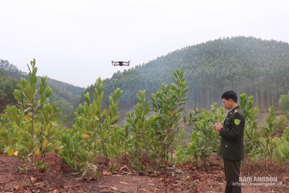 Công chức Hạt Kiểm lâm huyện Đình Lập sử dụng thiết bị flycam để theo dõi quản lý, bảo vệ rừng