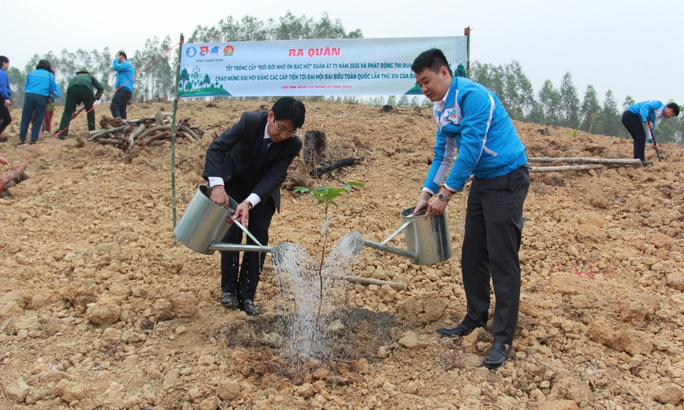 Tỉnh đoàn, Hội LHTN Việt Nam tỉnh: Ra quân Tết trồng cây “Đời đời nhớ ơn Bác Hồ” Xuân Ất Tỵ năm 2025