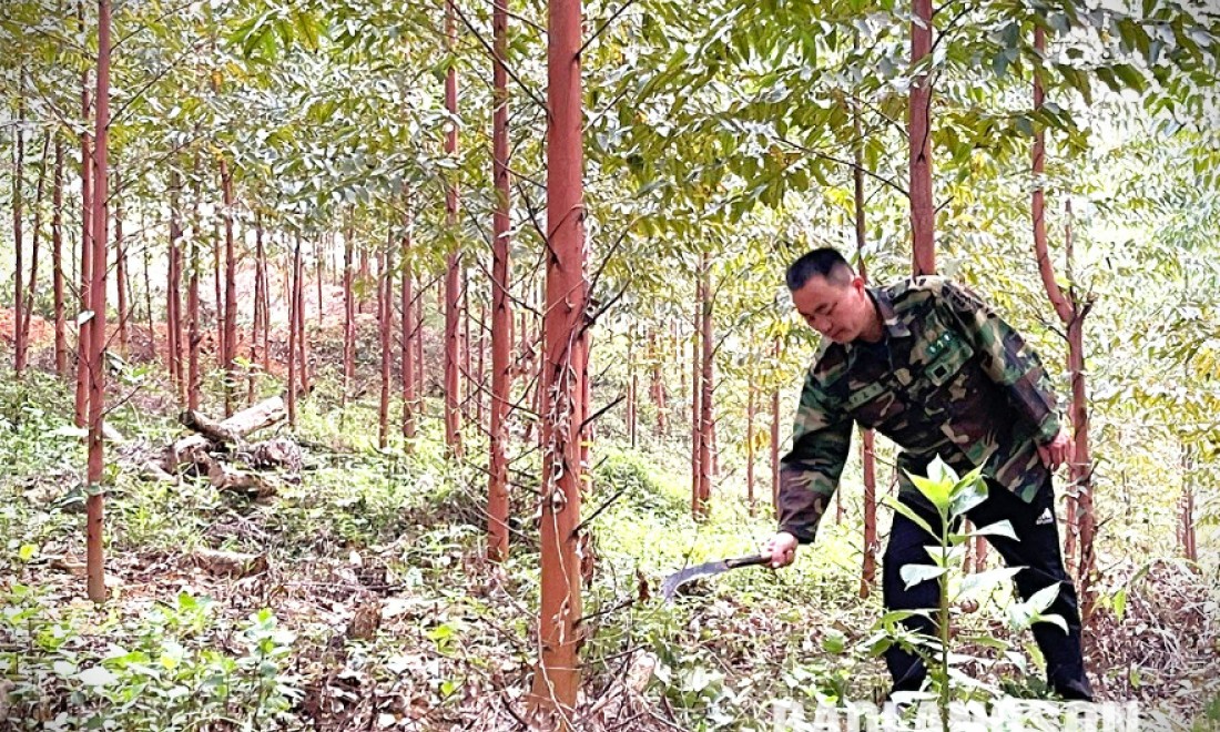 Chi Lăng: Điểm sáng thi đua nông dân sản xuất, kinh doanh giỏi